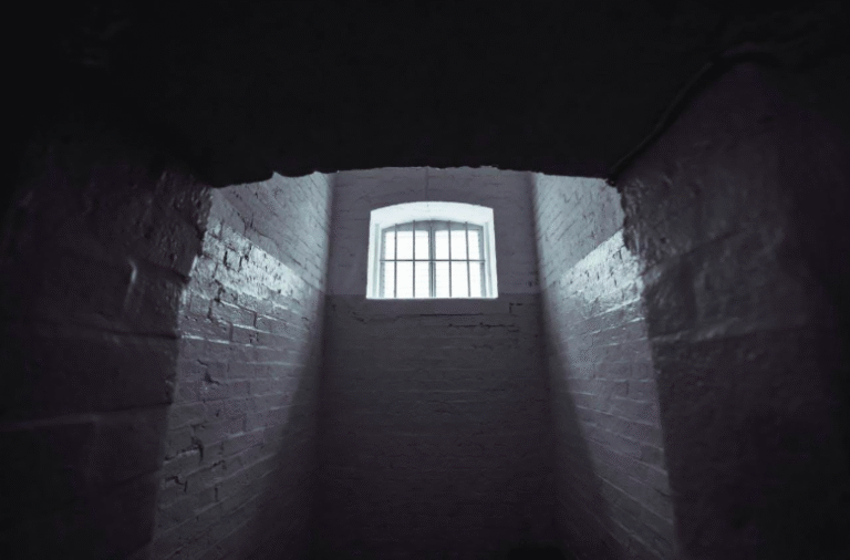 The Right to Vote Behind Bars: An Emerging Trend